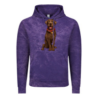 Cloud Purple chocolate lab labrador retriever Vintage Hoodie - Artiststas