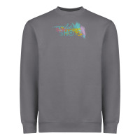 Storm artist shot Heavyweight Sweatshirt - chombo