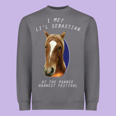 I Met Lil Sebastian Heavyweight Sweatshirt Designed By Bettercallsaul