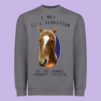 I Met Lil Sebastian Heavyweight Sweatshirt Designed By Bettercallsaul