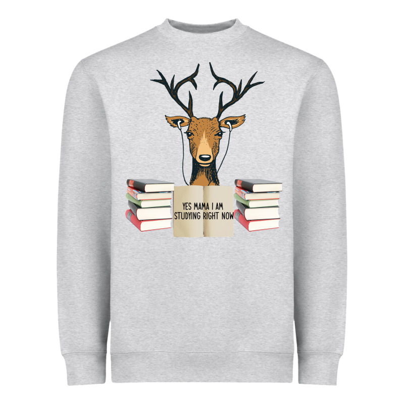 Yes Mama I Am Studying Right Now, Deer Heavyweight Sweatshirt by Bettercallsaul | Teevron