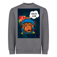 Storm Forever Alone, Monkey, Space, Monkey At Space, Heavyweight Sweatshirt - Bettercallsaul