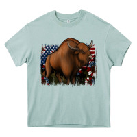 Arona American Bison Heavy Core Tee - Jasminsmagicworld