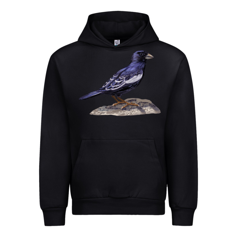 Lark Bunting Colorado State Bird Urban Hoodie by RanaPortraitStore | Teevron