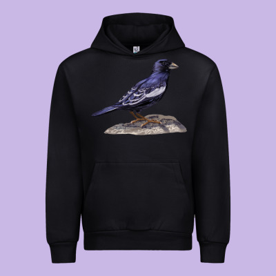 Lark Bunting Colorado State Bird Urban Hoodie Designed By Ranaportraitstore