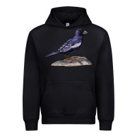 Black Lark Bunting Colorado State Bird Urban Hoodie - RanaPortraitStore