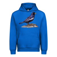 Cobalt Lark Bunting Colorado State Bird Urban Hoodie - RanaPortraitStore