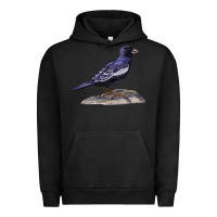 Pigment Black Lark Bunting Colorado State Bird Urban Hoodie - RanaPortraitStore