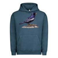Pigment Midnight Navy Lark Bunting Colorado State Bird Urban Hoodie - RanaPortraitStore