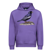 Tulip Lark Bunting Colorado State Bird Urban Hoodie - RanaPortraitStore