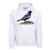 White Lark Bunting Colorado State Bird Urban Hoodie - RanaPortraitStore