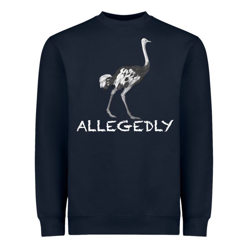 Allegedly Heavyweight Sweatshirt by Bettercallsaul | Teevron