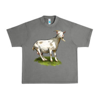 Tornado cashmere goat Urban Heavy Tee - LillyAllenDesigns