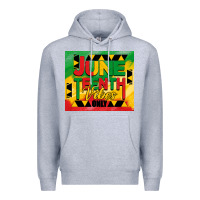 Heather Grey juneteenth vibes only tumbler Premium Hoodie - BarkalooDesign