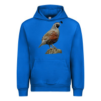 Cobalt California Quail Bird Urban Hoodie - RanaPortraitStore