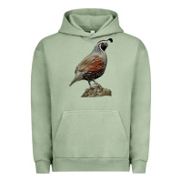 California Quail Bird Urban Hoodie | Teevron