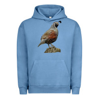 Pigment Pebble Blue California Quail Bird Urban Hoodie - RanaPortraitStore