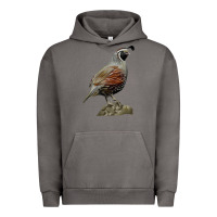 Pigment Tornado California Quail Bird Urban Hoodie - RanaPortraitStore