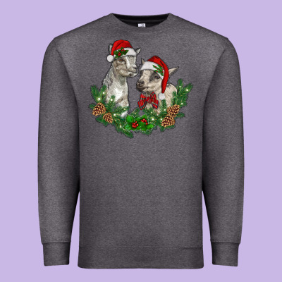 Christmas Baby Goats Premium Sweatshirt Designed By Ranaportraitstore