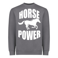 Horse Power Heavyweight Sweatshirt | Teevron