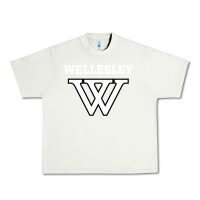 Pistachio WELLESLEY Urban Heavy Tee - baoMotion