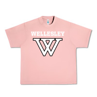 Salmon WELLESLEY Urban Heavy Tee - baoMotion