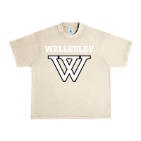 Sandshell WELLESLEY Urban Heavy Tee - baoMotion