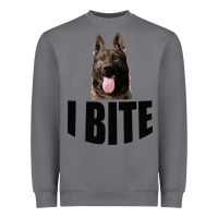 Storm I Bite Heavyweight Sweatshirt - Bettercallsaul