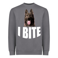 Storm I Bite Heavyweight Sweatshirt - Bettercallsaul