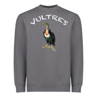 Storm Vultures Heavyweight Sweatshirt - Bettercallsaul