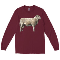 Burgundy katahdin sheep Long Sleeve Tee - LillyAllenDesigns