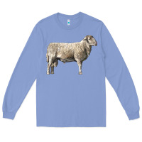 Colony Blue katahdin sheep Long Sleeve Tee - LillyAllenDesigns