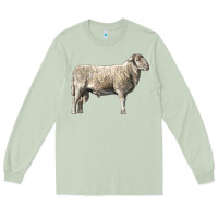 Matcha katahdin sheep Long Sleeve Tee - LillyAllenDesigns