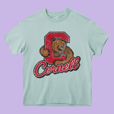 Cornell Heavy Core Tee Designed By Designpulse