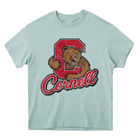 Arona cornell Heavy Core Tee - DesignPulse