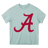 Arona -alabama athletics Heavy Core Tee - DesignPulse