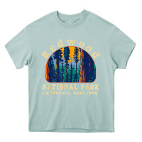 Arona redwood national park california retro vintage cam Heavy Core Tee - DesignPulse
