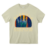 Mossy redwood national park california retro vintage cam Heavy Core Tee - DesignPulse