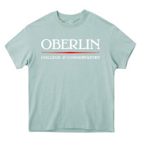 Arona oberlin, conservatory of music Heavy Core Tee - DesignPulse