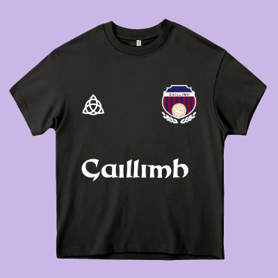 Galway Gaillimh Irish Gaelic Football And Hurling Premium Heavy Core Tee Designed By Designpulse