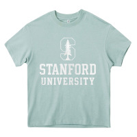 Arona stanford university logo Heavy Core Tee - DesignPulse