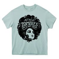 Arona the zombies   she's not there t shirt Heavy Core Tee - PixelWave