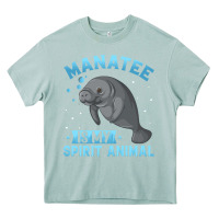 Arona manatee gifts Heavy Core Tee - PixelWave