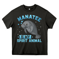 Asphalt manatee gifts Heavy Core Tee - PixelWave
