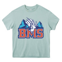 Arona blue mountain state Heavy Core Tee - PixelWave