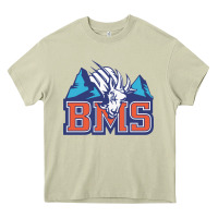 Mossy blue mountain state Heavy Core Tee - PixelWave