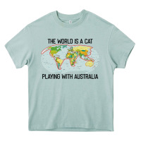 Arona the world is a cat playing with australia 2020 shirt Heavy Core Tee - PixelWave