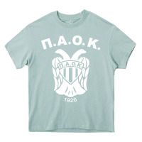 Arona paok merch Heavy Core Tee - PixelWave