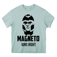 Arona magneto was right Heavy Core Tee - PixelWave