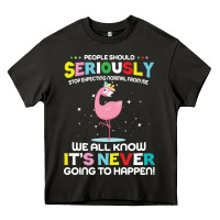 Asphalt people should seriously stop expecting normal from me Heavy Core Tee - Craftify